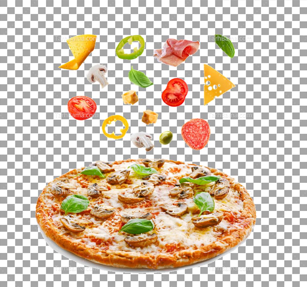 تصاویر همبرگر و فست فود